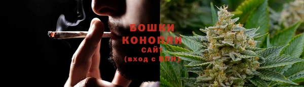 крисы Арсеньев