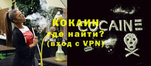 бошки Пересвет